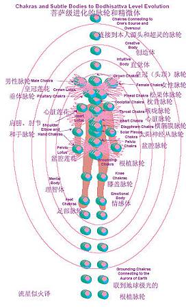 菩薩級脈輪及晶微體