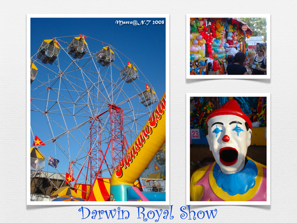 darwin royal.001.jpg darwin royal.001.jpg
