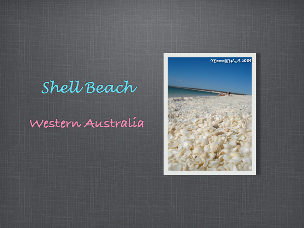 shell.001.jpg shell.001.jpg