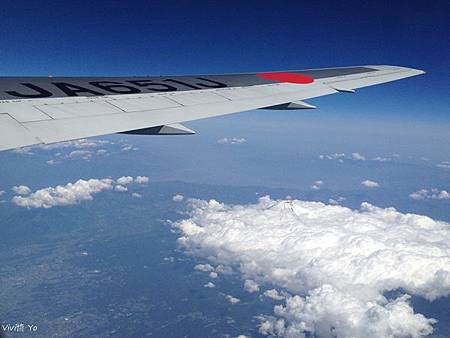 IMG_4131.JPG IMG_4131.JPG