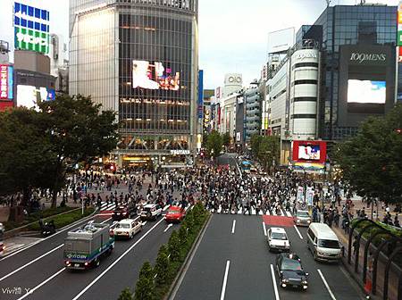 IMG_5549.JPG IMG_5549.JPG