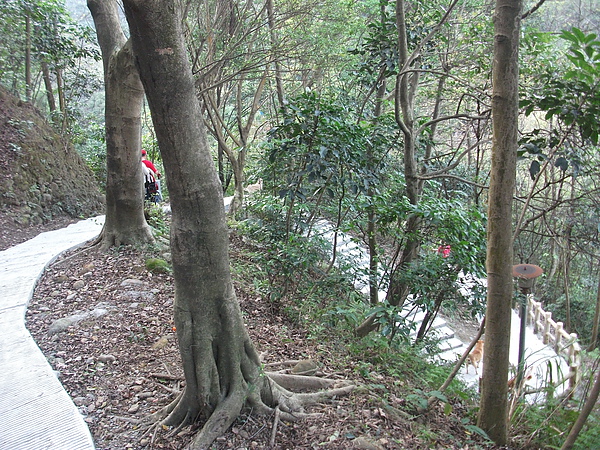 青年公園登山道2.JPG