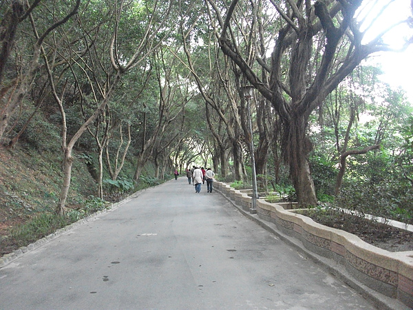 青年公園步道.JPG 青年公園步道.JPG