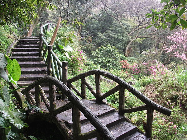 陽明山步道.JPG