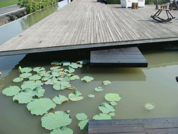 bridge2.gif bridge2.gif