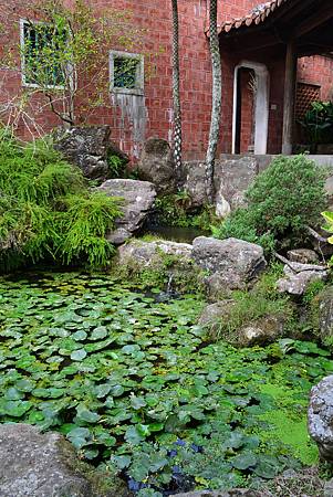 DSC_0219 DSC_0219