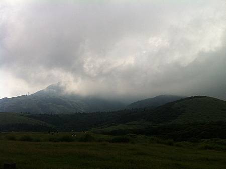 IMG_1972.JPG IMG_1972.JPG