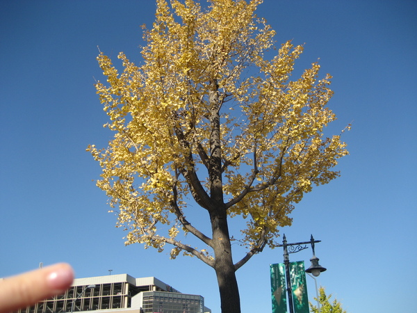 IMG_3880.JPG IMG_3880.JPG