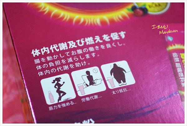 試用