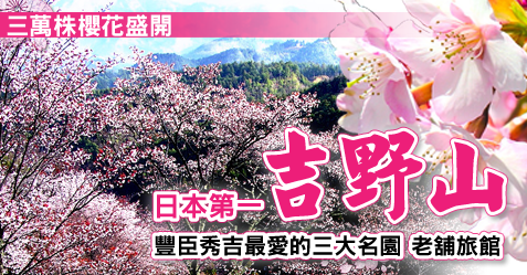 三萬株櫻花盛開的日本第一吉野山