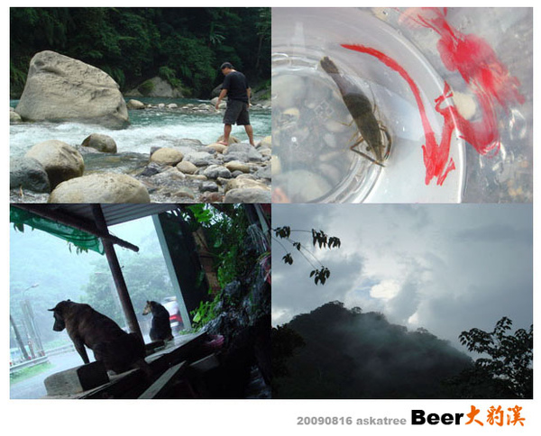 大豹溪啤酒005.JPG