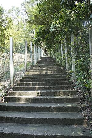 神秘路徑 神秘路徑