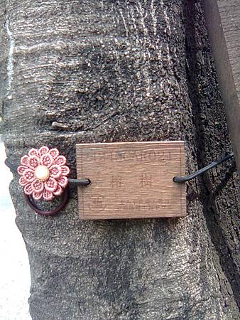 榕樹標記 榕樹標記