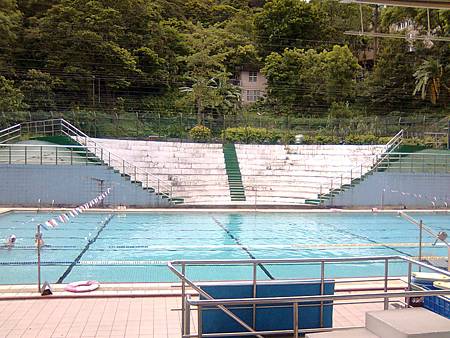 游泳池畔 游泳池畔