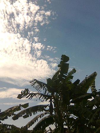 20140617天空-3 20140617天空-3