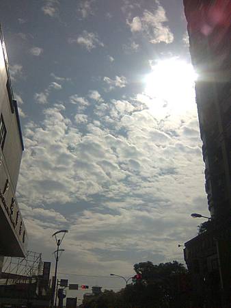 陽光正烈 陽光正烈