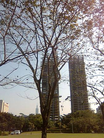 大安森林公園--建築中的大樓 大安森林公園--建築中的大樓