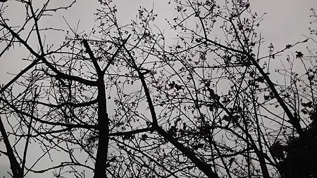20150218天空-2 20150218天空-2