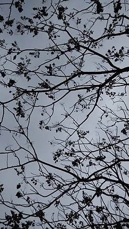 20150218天空-1 20150218天空-1