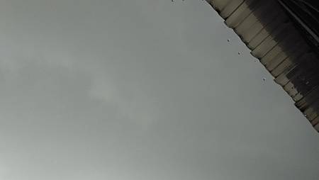 20150424雨滴-1 20150424雨滴-1