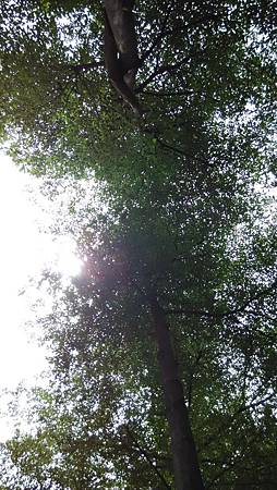 20150426天空 20150426天空