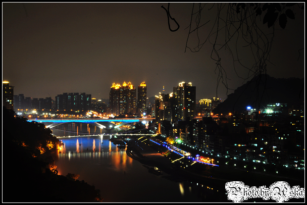 DSC_4816.jpg DSC_4816.jpg