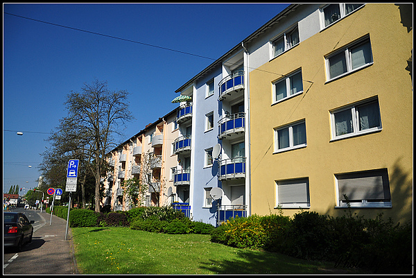 DSC_3253.jpg DSC_3253.jpg