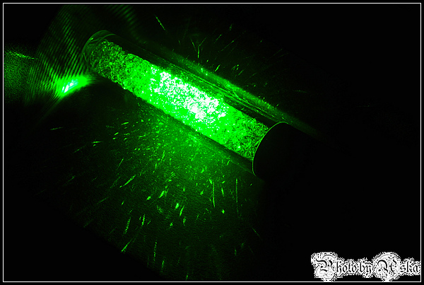 DSC_0208.jpg DSC_0208.jpg