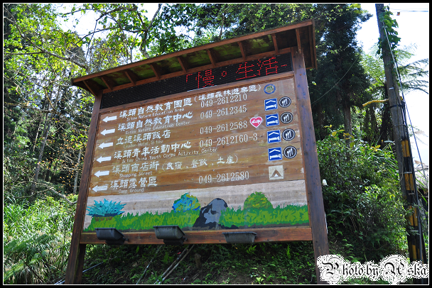 DSC_4209.jpg DSC_4209.jpg