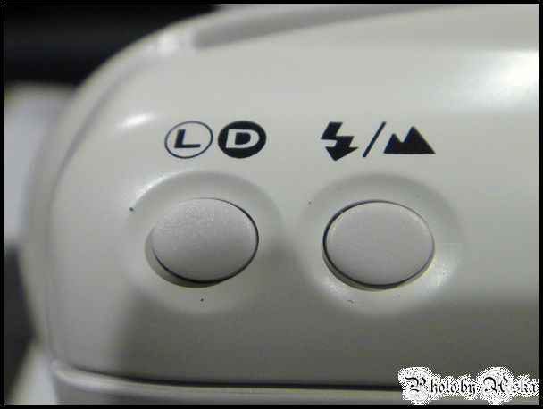 DSC03619.jpg DSC03619.jpg