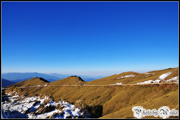 DSC_0617.jpg DSC_0617.jpg