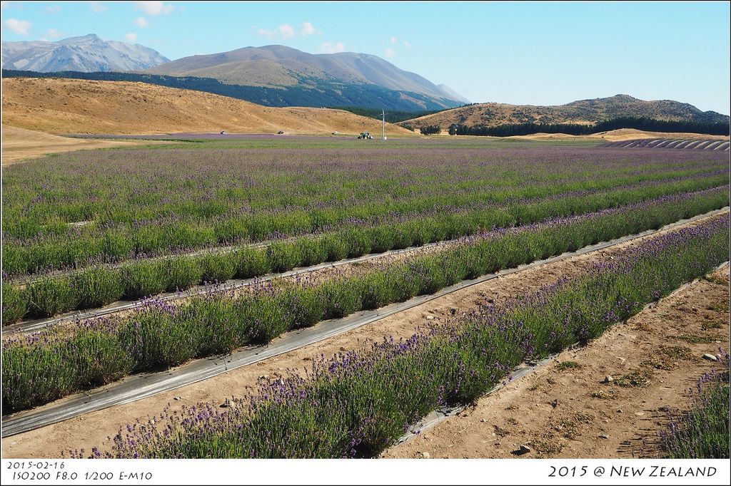 P2160257.jpg P2160257.jpg