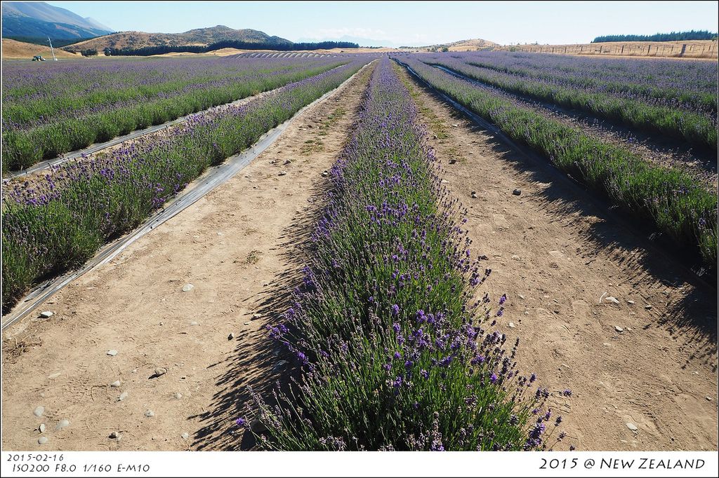 P2160258.jpg P2160258.jpg