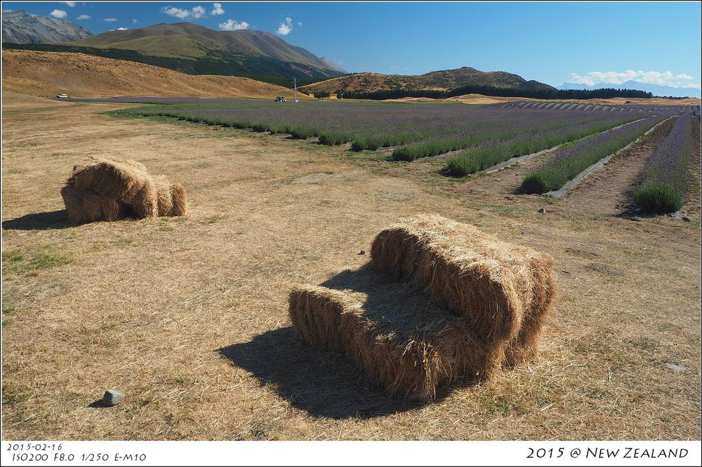 P2160260.jpg P2160260.jpg