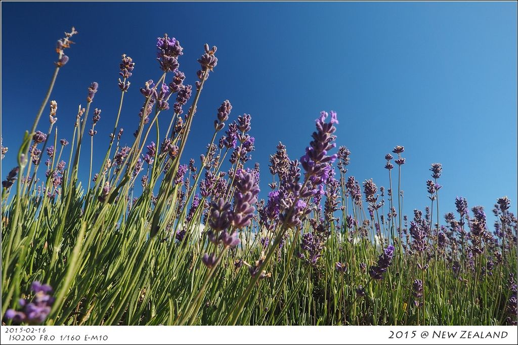 P2160267.jpg P2160267.jpg