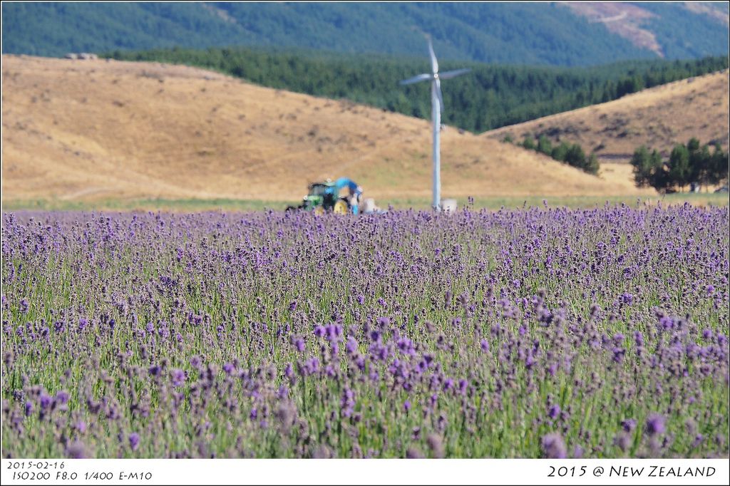 P2160391.jpg P2160391.jpg