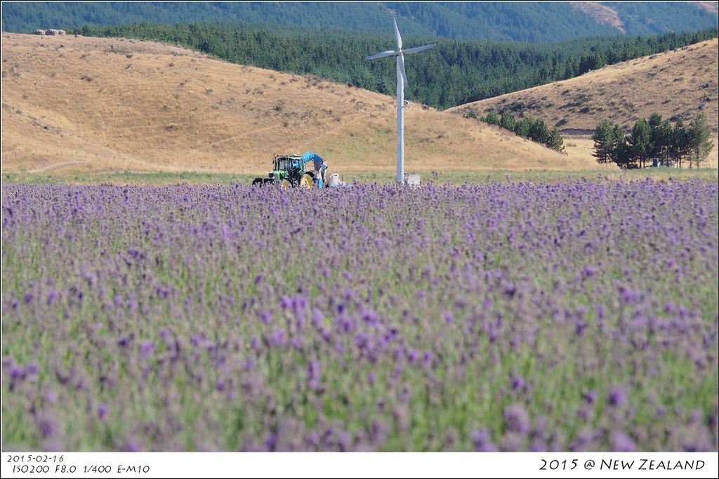 P2160392.jpg P2160392.jpg