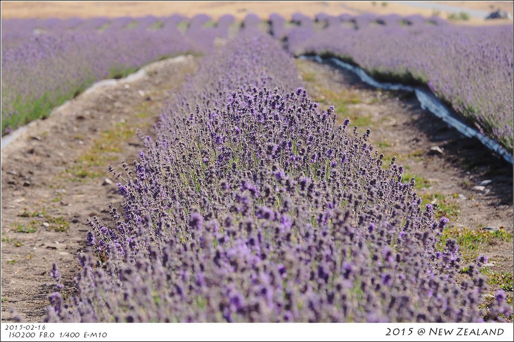 P2160395.jpg P2160395.jpg