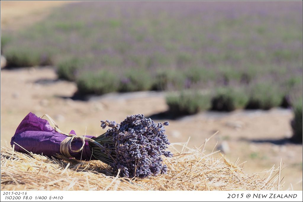 P2160399.jpg P2160399.jpg