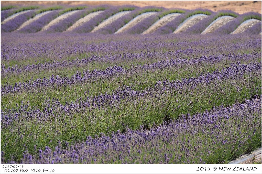 P2160420.jpg P2160420.jpg