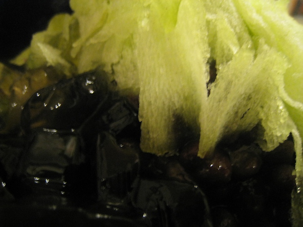 很像某種地理 很像某種地理