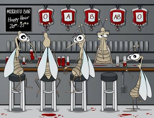 clip_image002 clip_image002