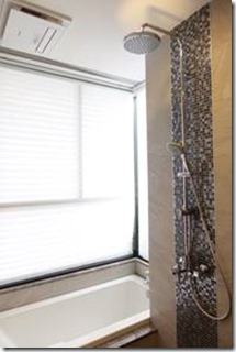 clip_image006 clip_image006