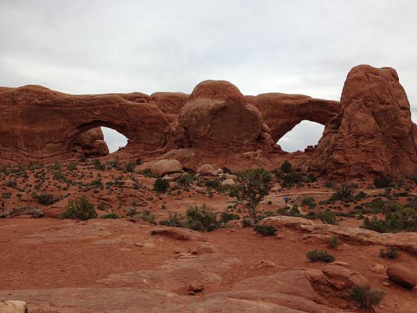 North & South Windows