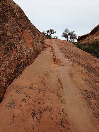 光滑的路跡 光滑的路跡