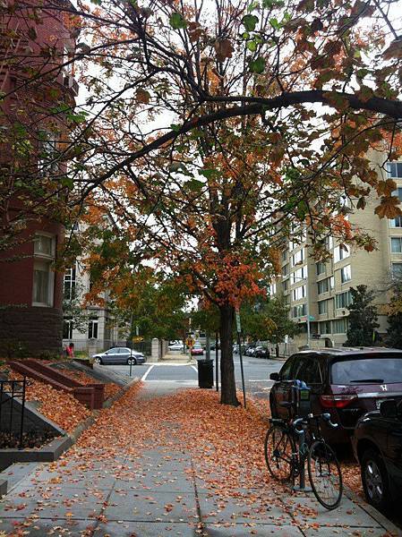 fall_2 fall_2