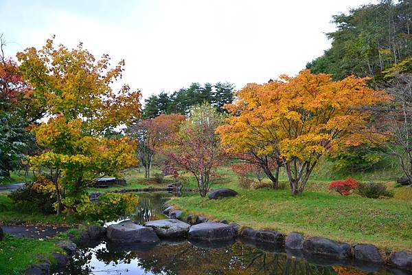 DSC_0227.jpg DSC_0227.jpg