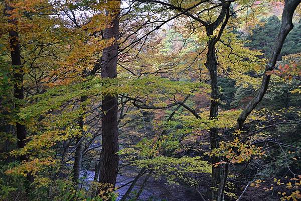 DSC_0953.jpg DSC_0953.jpg