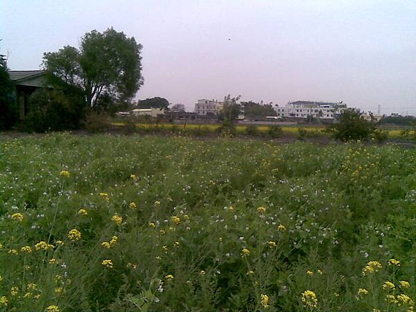 20100123.jpg 20100123.jpg
