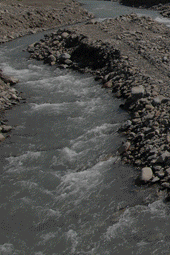 【Kanakanavu的守候】